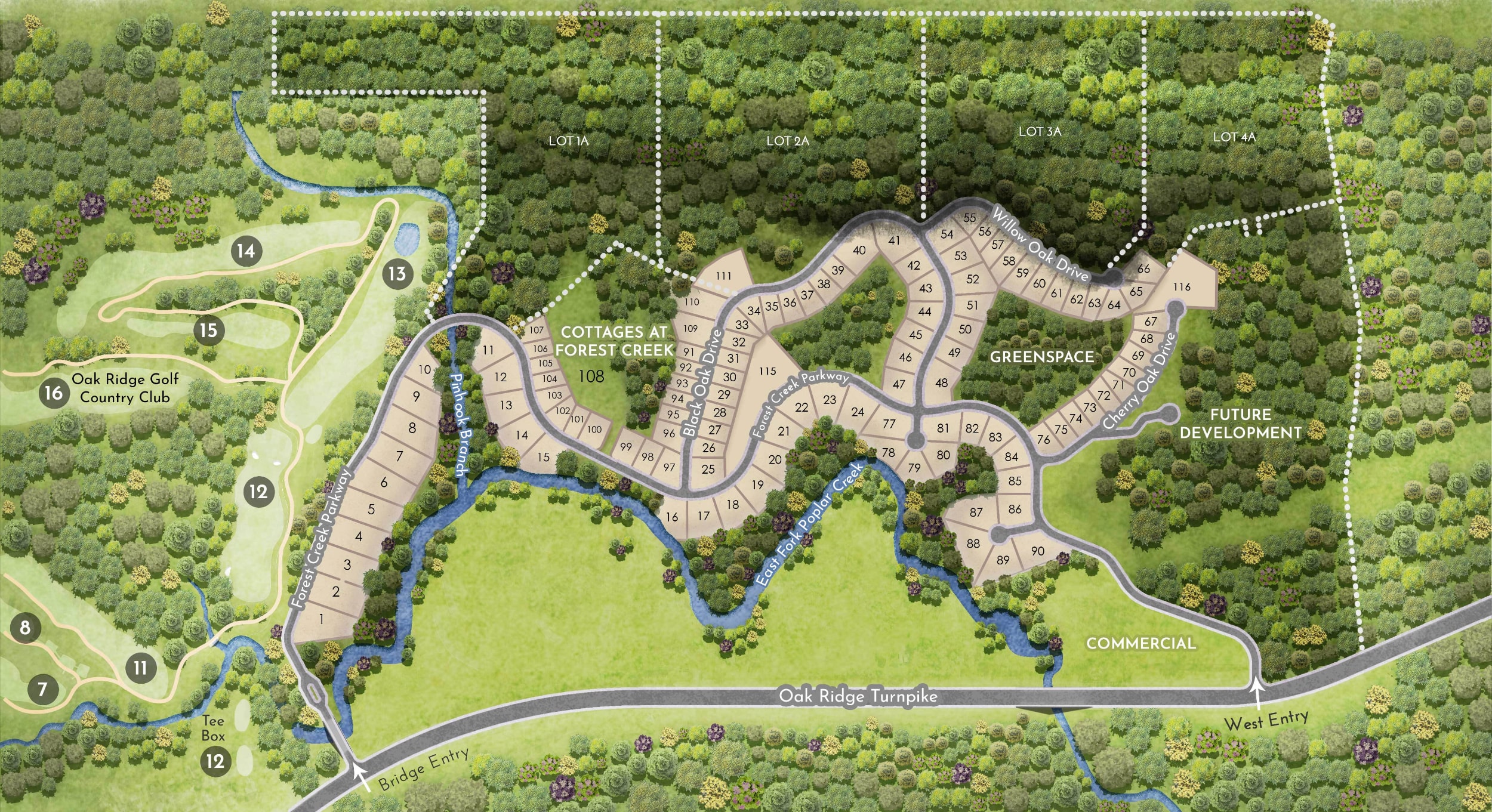 Forest Creek Map